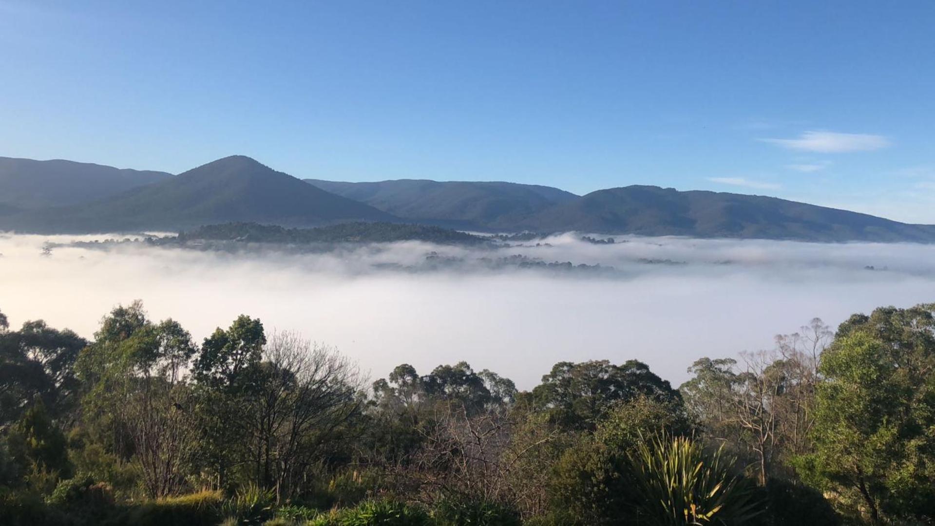 Beauty Of Healesville Ngoại thất bức ảnh